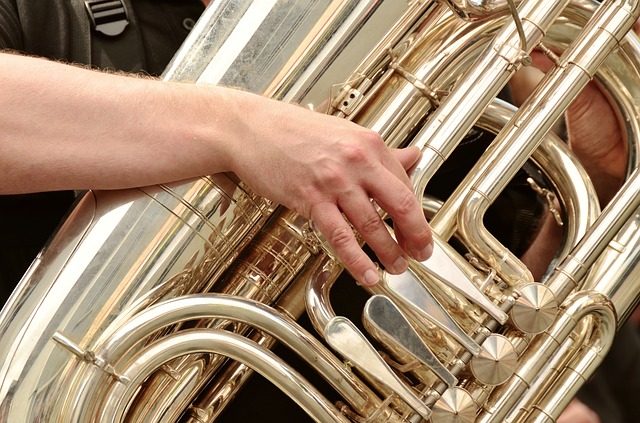 Tuba lernen Tubaunterricht Tubist Blasorchester Horn Blechbläser Musikschule Miertsch Luebben Luckau Lübben Wildau MKAW Musikunterricht